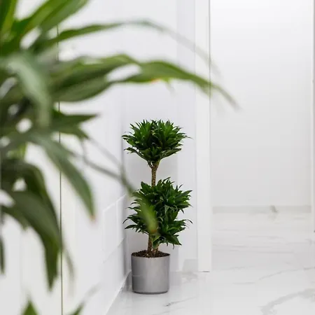 Maison De Julia 4* 폼페이