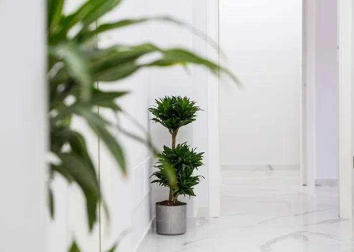 Maison De Julia 4* Pompéi